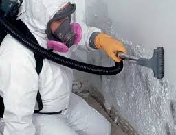 Professional Mold Removal in Dent, OH